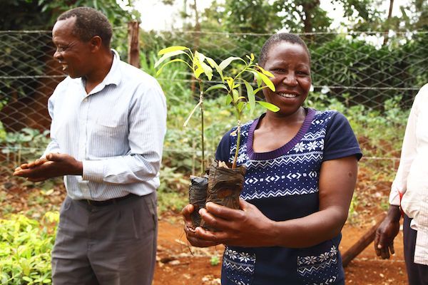 Plantar un árbol con un clic es posible gracias a Treedom - 1, Foto 1