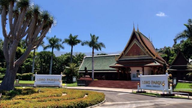 Loro Parque y Siam Park reciben los certificados Biosphere Certified Parks y Animal Embassy - 1, Foto 1