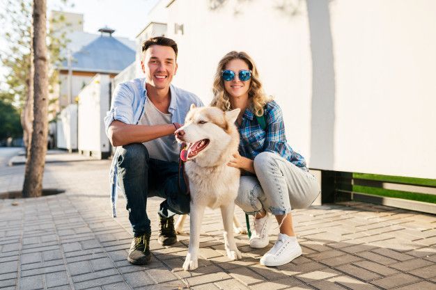 La custodia de las mascotas tras un divorcio según Divorcio Sevilla - 1, Foto 1