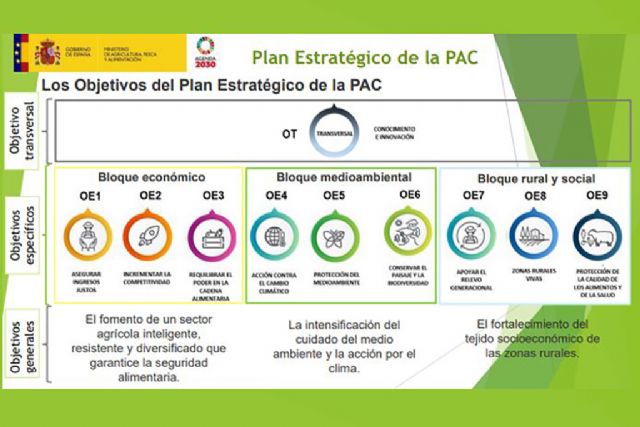 Luis Planas: Las recomendaciones de la Comisión Europea al Plan Estratégico avalan el trabajo realizado por el Gobierno y las comunidades autónomas - 1, Foto 1