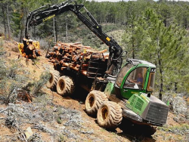 Leñas El Cardoso emplea a 10 trabajadores de la comarca de la Sierra Norte de Guadalajara - 1, Foto 1