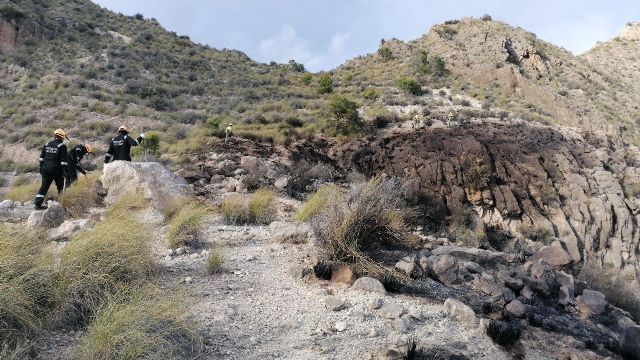 Efectivos del Infomur apagan un conato de incendio forestal en Ulea - 1, Foto 1