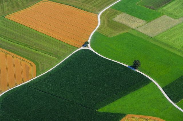 Atos y 11 socios europeos finalizan el proyecto EO4AGRI para la digitalización del sector agrícola - 1, Foto 1