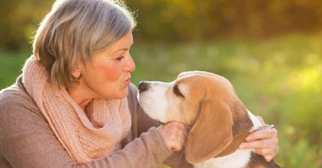 Grandes beneficios terapéuticos de tener una mascota, según la web Mascota en adopción - 1, Foto 1