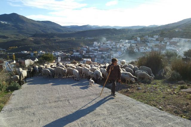 Agricultura, Pesca y Alimentación convoca subvenciones a entidades de mujeres rurales de ámbito nacional - 1, Foto 1