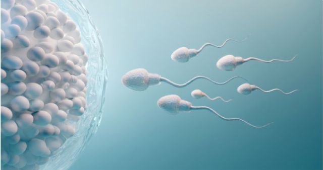 Claves para preservar la fertilidad en tiempos de la COVID - 1, Foto 1