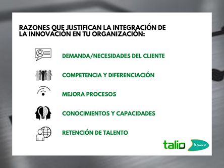 Talio - La innovación no es una opción, es un imperativo en los negocios - 1, Foto 1