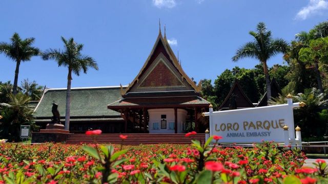 Loro Parque y Siam Park amplían su horario de lunes a domingo - 1, Foto 1