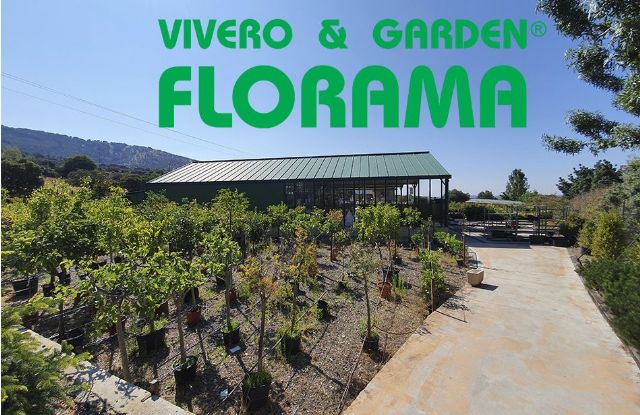 VIVEROS FLORAMA: ¿Cómo elegir las plantas en un vivero? - 1, Foto 1