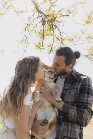 ¿Cómo lograr un paseo perfecto para la mascota? - 1, Foto 1