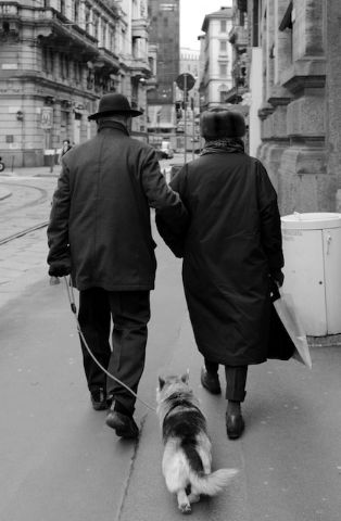 SEPES recomienda las terapias Asistidas con Animales con las personas mayores - 1, Foto 1