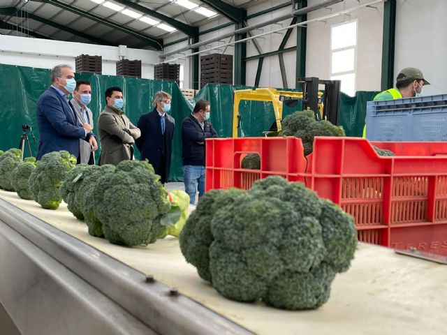 La empresa Bio Organic Mar Menor, de San Javier, amplia sus instalaciones con la línea Financia-Agro, del Gobierno regional - 1, Foto 1