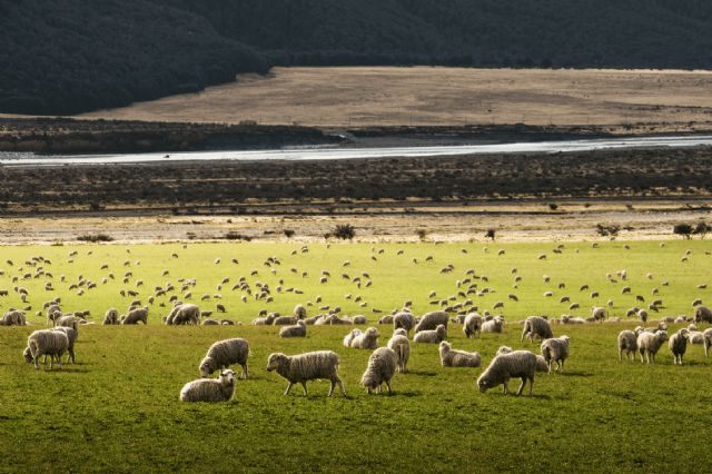 Ganadero y veterinario, esenciales para cuidar la salud de los animales, las personas y del planeta - 1, Foto 1