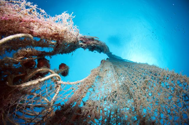 30 nuevos proyectos para innovación en el sector pesquero y acuícola y protección de la Red Natura 2000 en el medio marino - 1, Foto 1