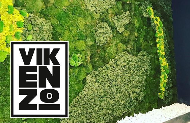 Un jardín vertical en el salón: 5 razones para tener uno, por VIKENZO NATURE - 1, Foto 1