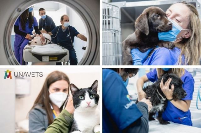 El Grupo Veterinario UNAVETS apoya a sus equipos clínicos con un aumento salarial para todos los empleados - 1, Foto 1