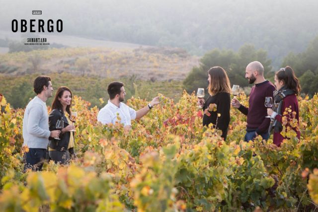 Visitar la bodega de Obergo o una experiencia singular en el Somontano - 1, Foto 1