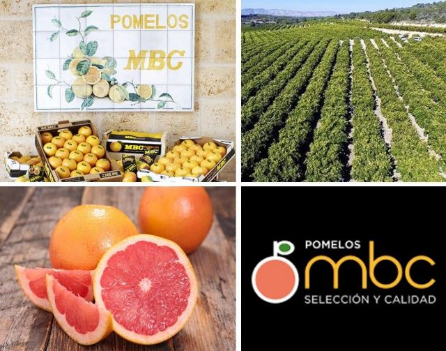 POMELOS MBC obtiene el certificado de calidad empresarial CEDEC y reafirma su colaboración con la consultoría - 1, Foto 1