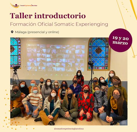 Somatic Experiencing Barcelona organiza en Málaga un nuevo Taller Introductorio de Formación Oficial - 1, Foto 1