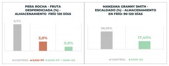 Sanifruit desarrolla una nueva solución postcosecha sin residuos y eficaz para pera y manzana - 1, Foto 1