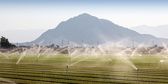 Clúster GAIA colabora en proyecto para promover la gestión inteligente del agua en la industria alimentaria - 1, Foto 1