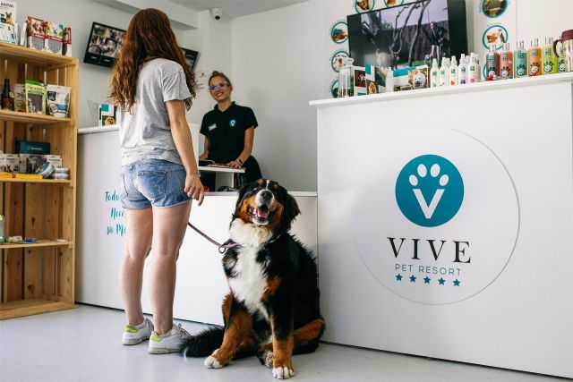 Vive Pet Resort, marca referente en el hospedaje de mascotas, confía en Tormo Franquicias para expandirse - 1, Foto 1