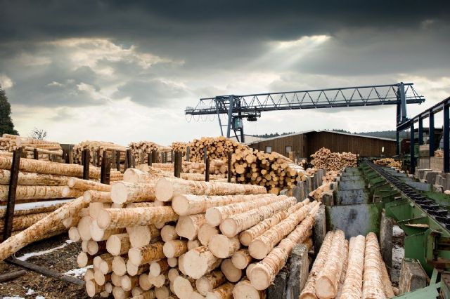 Imagina Energía sitúa al sector maderero como industria clave para abanderar la transición energética - 1, Foto 1