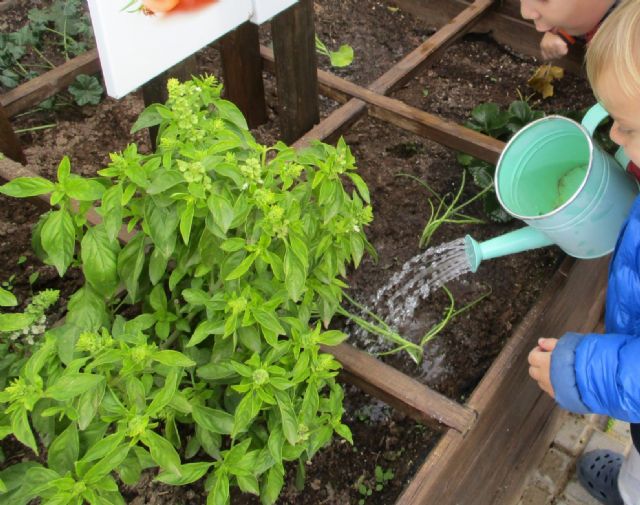 El 32% de las escuelas infantiles que gestiona Cavall de Cartró ya disponen del distintivo Escuela Verde - 1, Foto 1