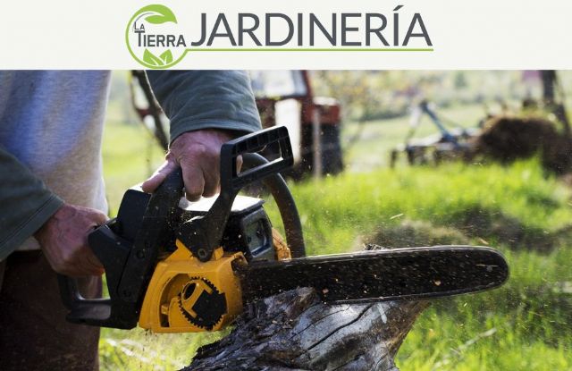 La importancia de la tala de árboles, por LA TIERRA JARDINERÍA - 1, Foto 1