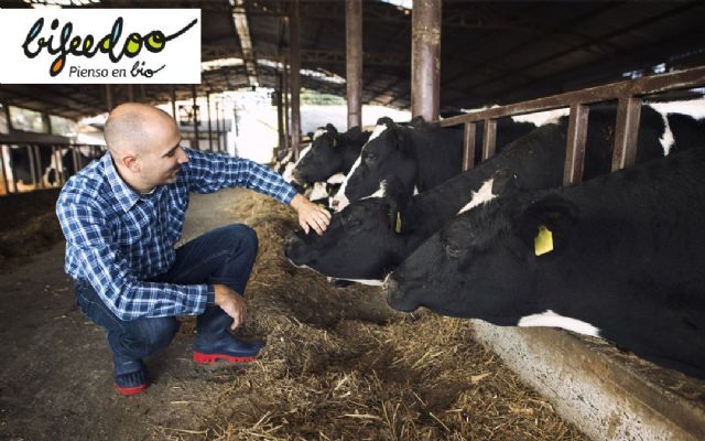 La importancia de una buena alimentación en el ganado vacuno lechero, según Bifeedoo - 1, Foto 1