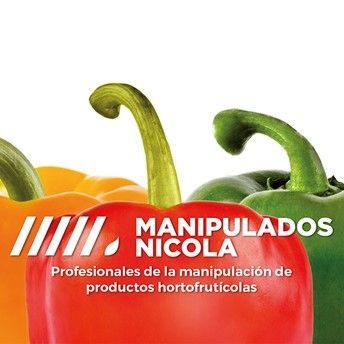 MANIPULADOS NICOLA mantiene su crecimiento y reafirma su colaboración con la consultoría de empresas CEDEC - 1, Foto 1