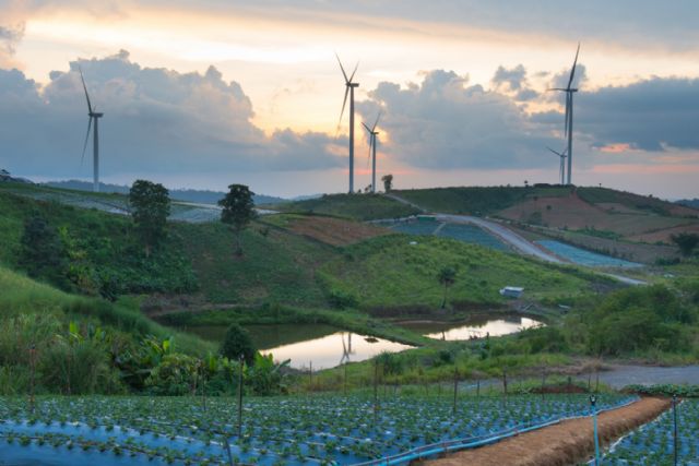 España acogerá la próxima ´Conferencia Internacional de Energías Renovables´, en 2023 - 1, Foto 1