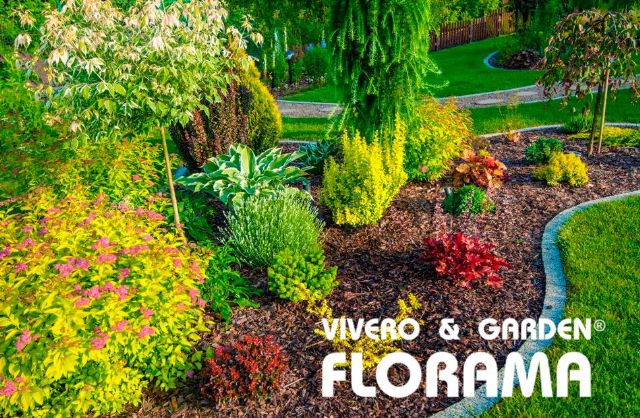 Jardines y zonas verdes: diseño, tipos y costes, por VIVEROS FLORAMA - 1, Foto 1