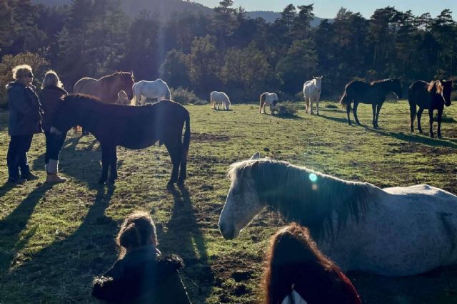 Aura, una escuela de formación focalizada en acompañamiento asistido con caballos en libertad - 1, Foto 1