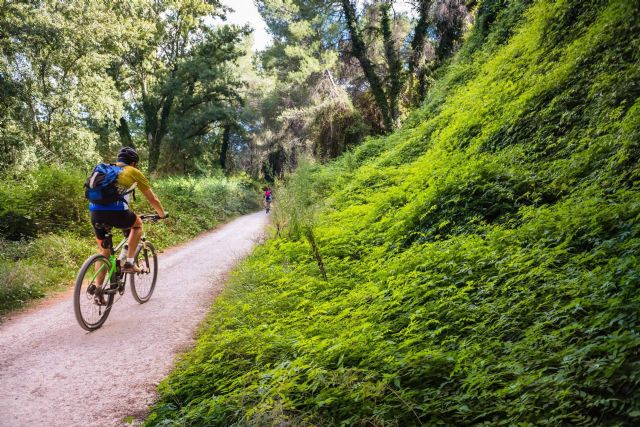 Bikefeelings ofrece el alquiler de bicis de gama alta - 1, Foto 1