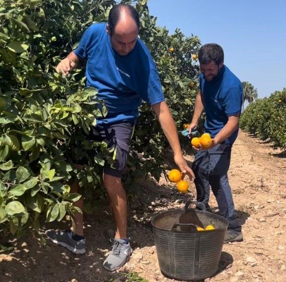 Avanza Fibra regala 50.000 kilos de naranjas entre sus clientes - 1, Foto 1