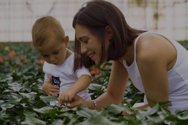 El espacio donde encontrar un amplio catálogo de plantas ornamentales, Rachel & Co - 1, Foto 1