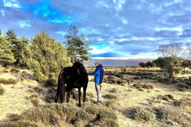 Aura, PNL asistida con caballos en libertad - 1, Foto 1