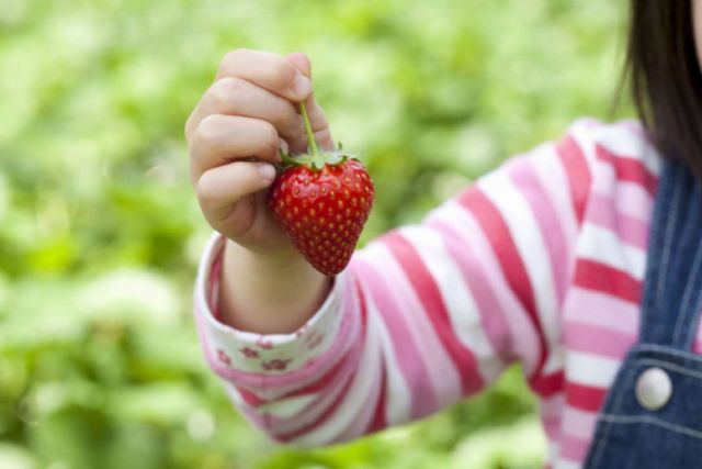 La clínica Alzenit explica la importancia de una buena nutrición infantil - 1, Foto 1