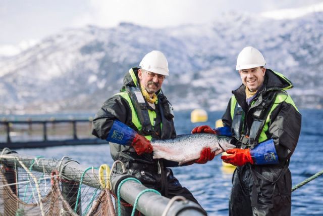 España en el pódium de los mayores consumidores de pescado del mundo - 1, Foto 1