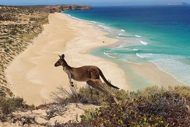 Todo lo necesario para estudiar en Australia - 1, Foto 1