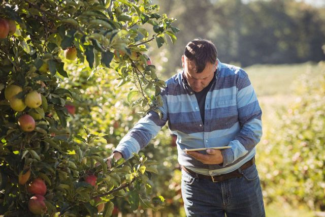 Un ERP Agropecuario para potenciar el sector agrícola, con Certitec - 1, Foto 1