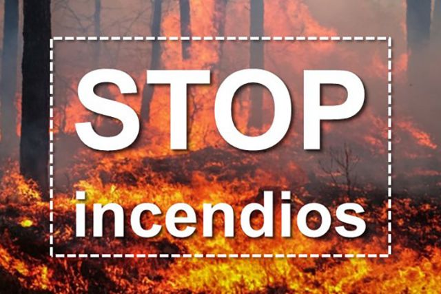 Ciencia e Innovación impulsa la investigación sobre el cambio climático y los incendios en España - 1, Foto 1