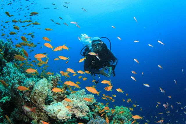 Diveasapp permite reservar bautizos de buceo, viajes, cursos e inmersiones - 1, Foto 1