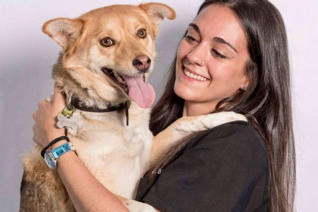 El Hospital Veterinario El Bosque explica qué hacer cuando un animal tiene un golpe de calor - 1, Foto 1