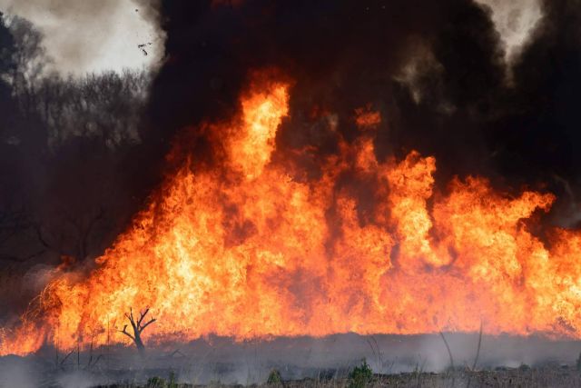 ¿Cómo prevenir los incendios forestales en Mijas?, por #SoydeMijas - 1, Foto 1