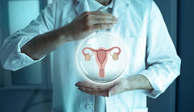 El grosor excesivo del endometrio en mujeres menopáusicas condiciona el tratamiento de infertilidad, según la clínica MARGen - 1, Foto 1