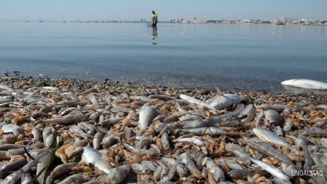 Informe sobre el Mar Menor - 1, Foto 1