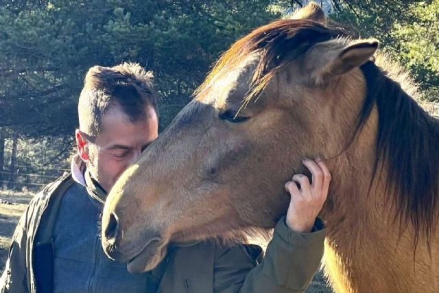 ¿Qué beneficios aportan los caballos libres al desarrollo de la inteligencia emocional? - 1, Foto 1