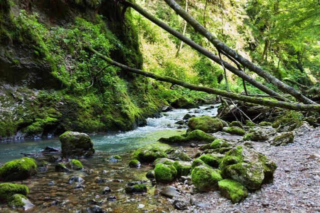 El programa de salud medioambiental de WellWo para crear conciencia de cómo cuidar el planeta - 1, Foto 1